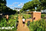FOCUS on the RECETAS project : nature to heal and fight against isolation in the city 