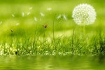 ZOOM on health and urban planning