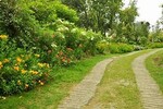  The follow-up to the Nature for City LIFE project: the After LIFE plan