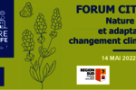 Citizen forum on nature in the city for adaptation to climate change