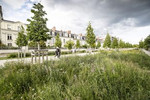 Nature in the city : 22,000 lives saved in 2023 thanks to green spaces, according to a study