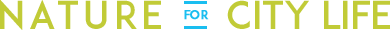 Accueil du site
